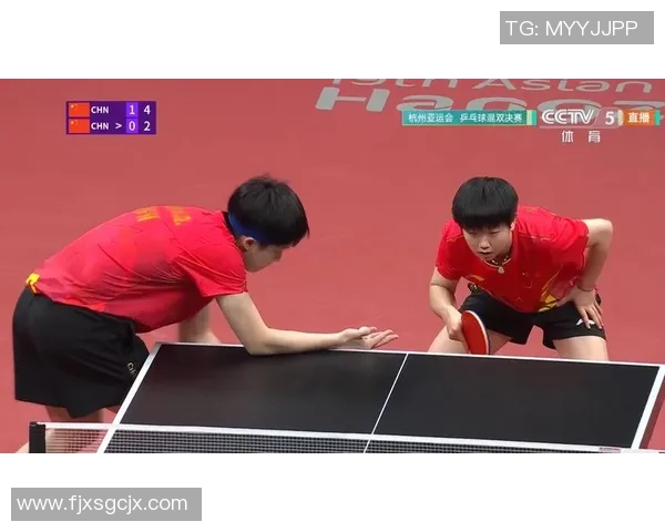 深入分析杭州乒乓球队的盯防战术与技术特点